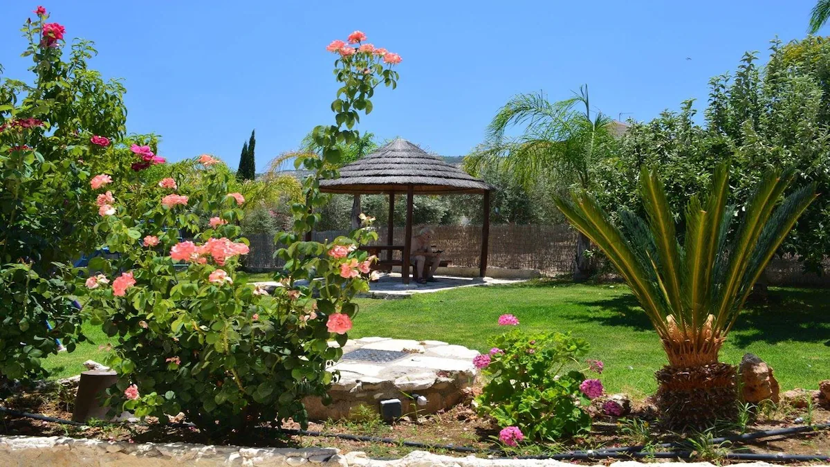 A thatched gazebo surrounded by roses and palms in the garden