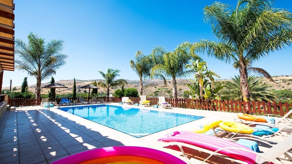The pool framed by palm trees with valley views beyond
